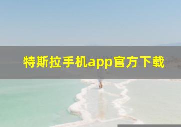 特斯拉手机app官方下载