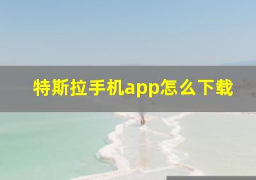 特斯拉手机app怎么下载