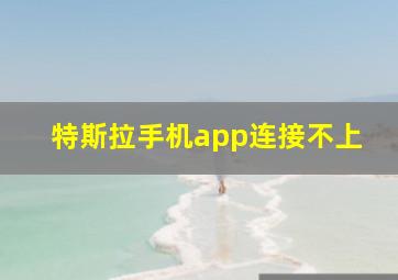 特斯拉手机app连接不上