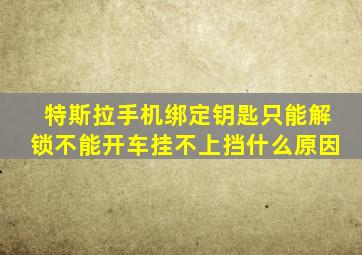 特斯拉手机绑定钥匙只能解锁不能开车挂不上挡什么原因