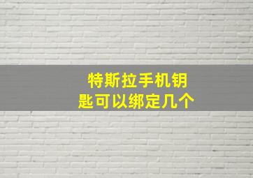 特斯拉手机钥匙可以绑定几个