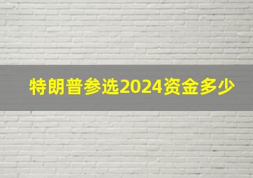 特朗普参选2024资金多少