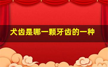 犬齿是哪一颗牙齿的一种