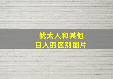 犹太人和其他白人的区别图片