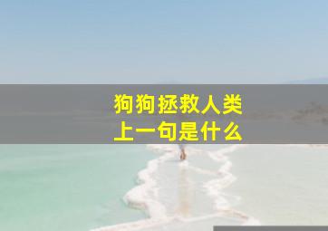 狗狗拯救人类上一句是什么