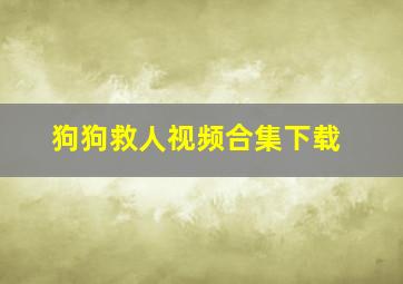 狗狗救人视频合集下载