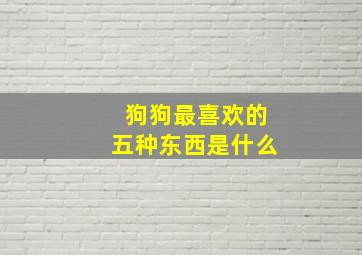 狗狗最喜欢的五种东西是什么