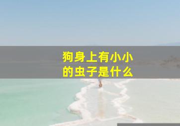 狗身上有小小的虫子是什么