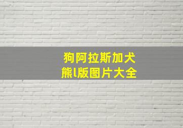 狗阿拉斯加犬熊l版图片大全