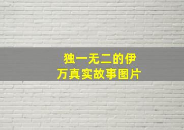 独一无二的伊万真实故事图片