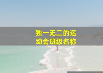 独一无二的运动会班级名称