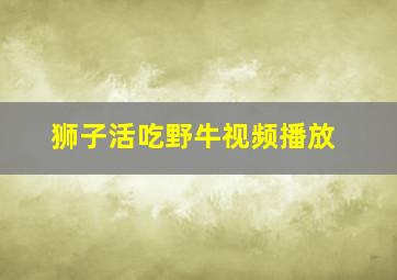 狮子活吃野牛视频播放