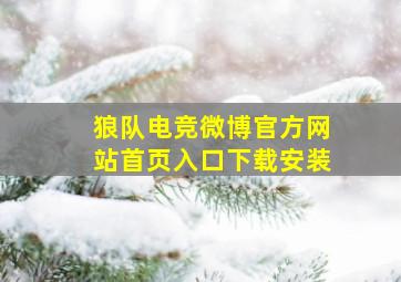 狼队电竞微博官方网站首页入口下载安装