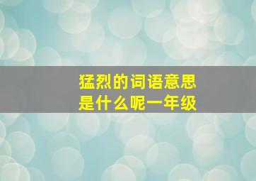 猛烈的词语意思是什么呢一年级