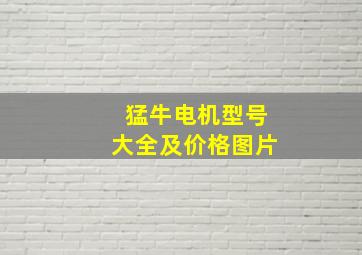 猛牛电机型号大全及价格图片