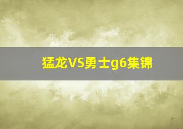 猛龙VS勇士g6集锦