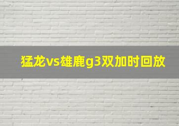 猛龙vs雄鹿g3双加时回放