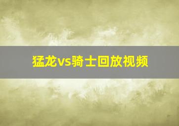 猛龙vs骑士回放视频