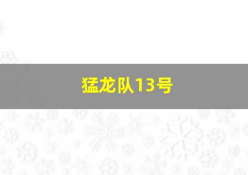 猛龙队13号