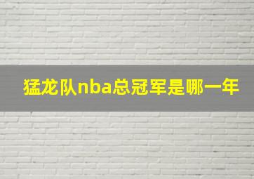 猛龙队nba总冠军是哪一年