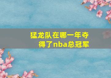 猛龙队在哪一年夺得了nba总冠军