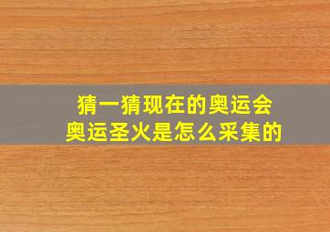 猜一猜现在的奥运会奥运圣火是怎么采集的