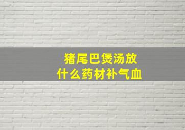 猪尾巴煲汤放什么药材补气血