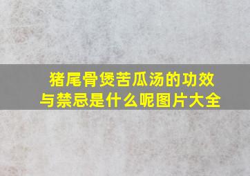 猪尾骨煲苦瓜汤的功效与禁忌是什么呢图片大全