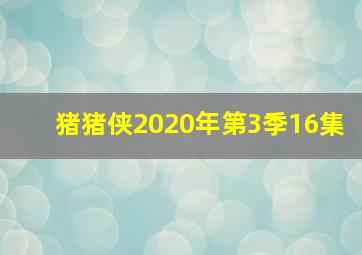 猪猪侠2020年第3季16集