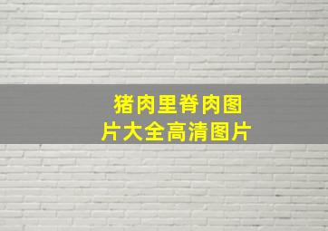 猪肉里脊肉图片大全高清图片