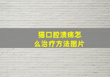 猫口腔溃疡怎么治疗方法图片