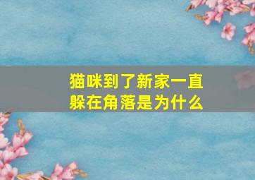 猫咪到了新家一直躲在角落是为什么