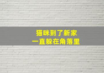 猫咪到了新家一直躲在角落里