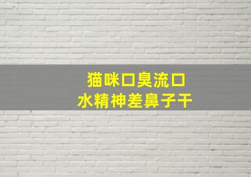 猫咪口臭流口水精神差鼻子干