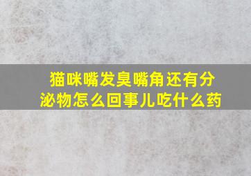 猫咪嘴发臭嘴角还有分泌物怎么回事儿吃什么药