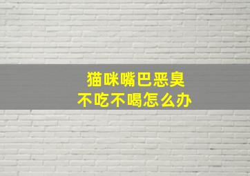 猫咪嘴巴恶臭不吃不喝怎么办