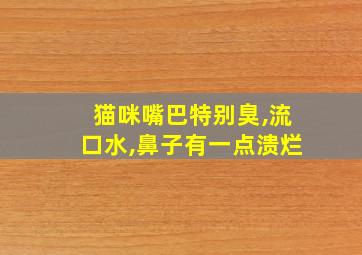 猫咪嘴巴特别臭,流口水,鼻子有一点溃烂