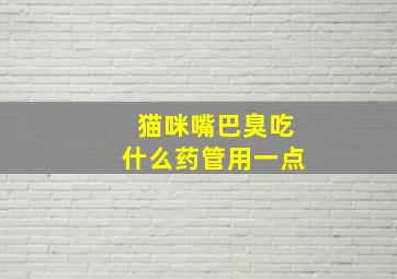 猫咪嘴巴臭吃什么药管用一点