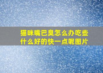 猫咪嘴巴臭怎么办吃些什么好的快一点呢图片