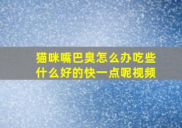 猫咪嘴巴臭怎么办吃些什么好的快一点呢视频