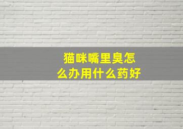 猫咪嘴里臭怎么办用什么药好