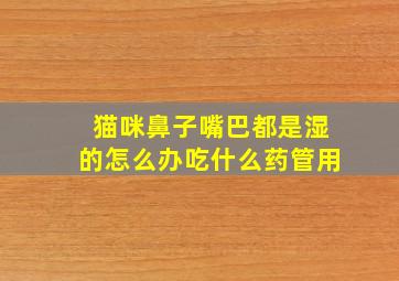 猫咪鼻子嘴巴都是湿的怎么办吃什么药管用