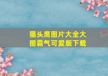 猫头鹰图片大全大图霸气可爱版下载