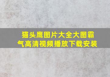 猫头鹰图片大全大图霸气高清视频播放下载安装