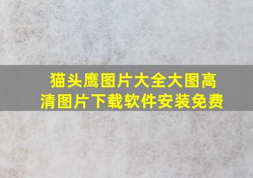 猫头鹰图片大全大图高清图片下载软件安装免费