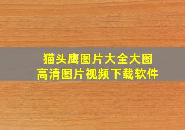 猫头鹰图片大全大图高清图片视频下载软件