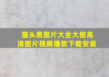 猫头鹰图片大全大图高清图片视频播放下载安装