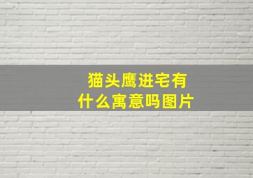 猫头鹰进宅有什么寓意吗图片