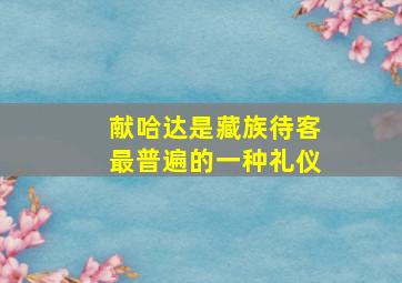 献哈达是藏族待客最普遍的一种礼仪