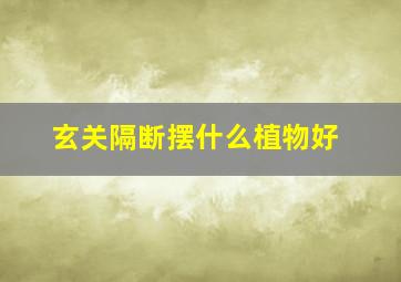 玄关隔断摆什么植物好